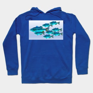 Largemouth bass school Hoodie